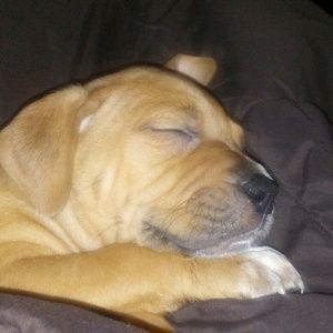 Meet your Posher, Nikki